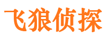 新野飞狼私家侦探公司